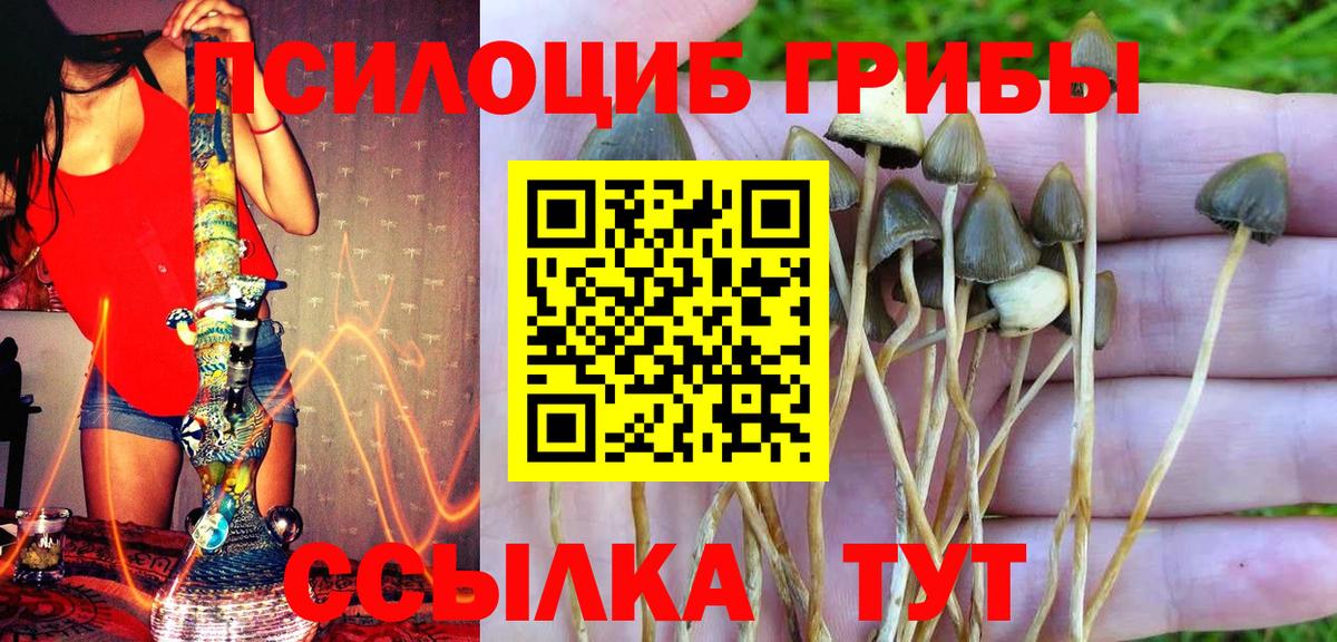 Галлюциногенные грибы MAGIC MUSHROOMS Мелеуз